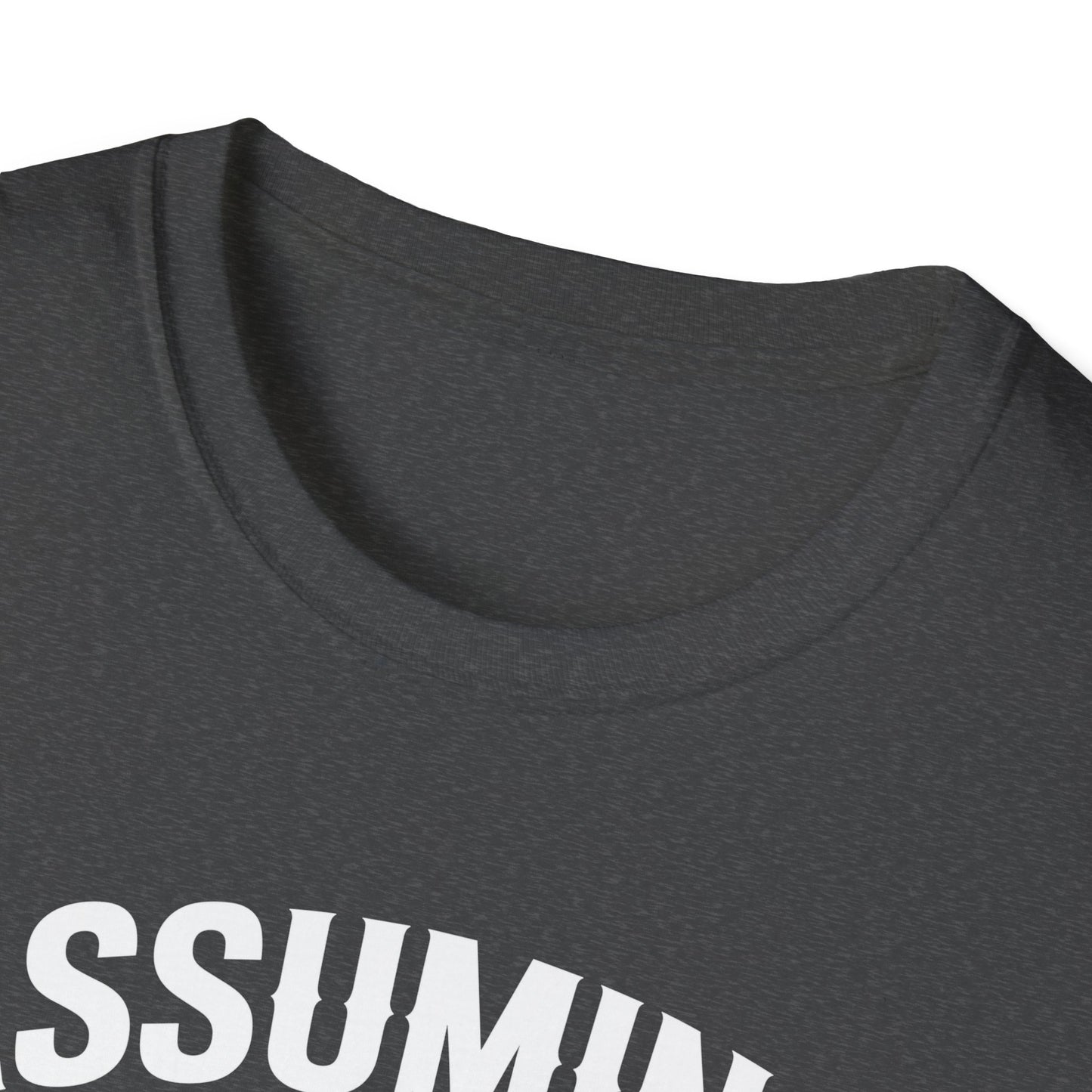 Funny Truck Driver T-Shirt, Gift for Truckers, Assumption Tee, Unisex Softstyle Shirt, Unique Birthday Gift