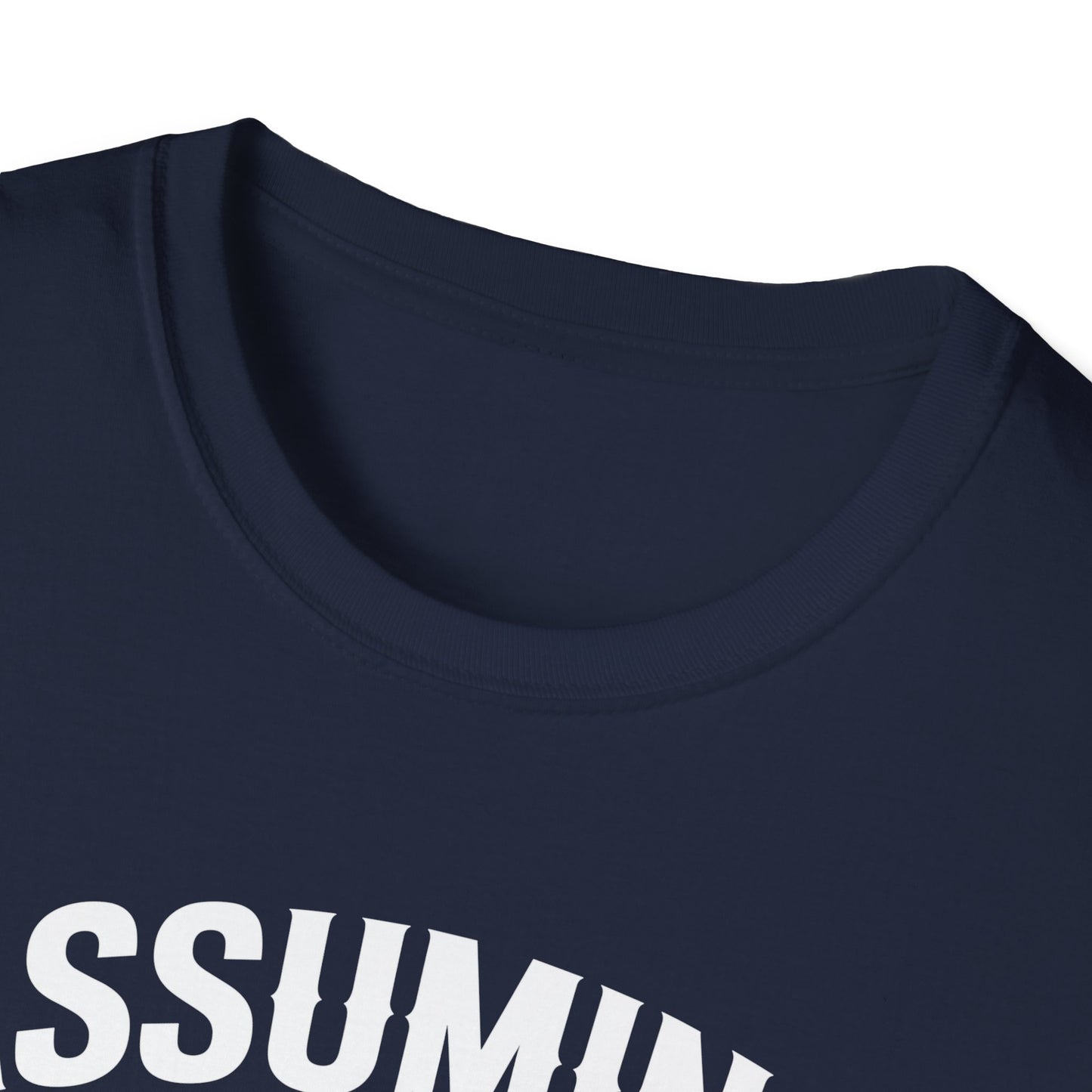 Funny Truck Driver T-Shirt, Gift for Truckers, Assumption Tee, Unisex Softstyle Shirt, Unique Birthday Gift