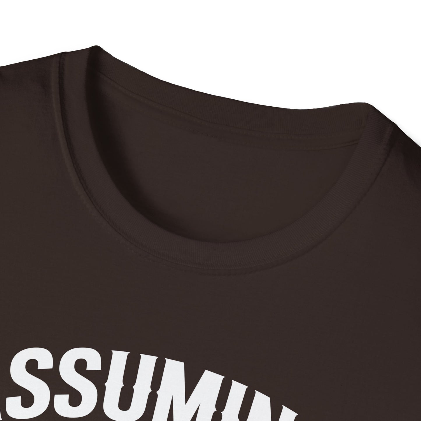 Funny Truck Driver T-Shirt, Gift for Truckers, Assumption Tee, Unisex Softstyle Shirt, Unique Birthday Gift