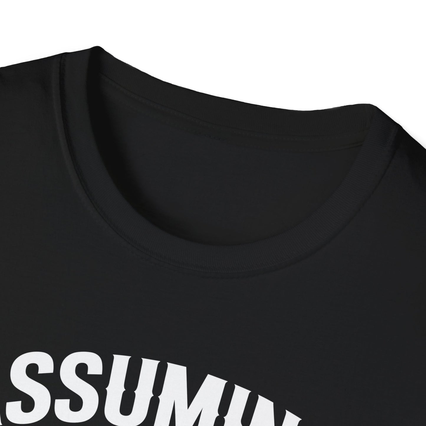 Funny Truck Driver T-Shirt, Gift for Truckers, Assumption Tee, Unisex Softstyle Shirt, Unique Birthday Gift