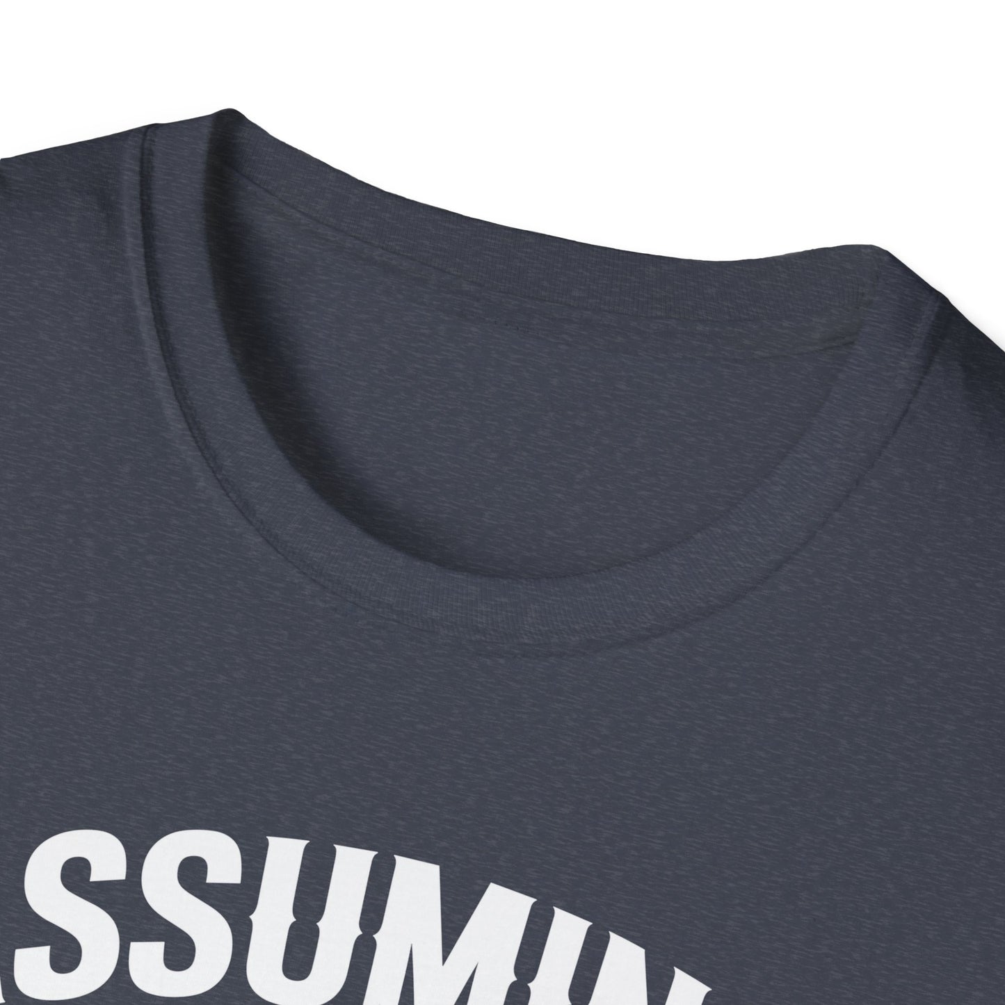 Funny Truck Driver T-Shirt, Gift for Truckers, Assumption Tee, Unisex Softstyle Shirt, Unique Birthday Gift