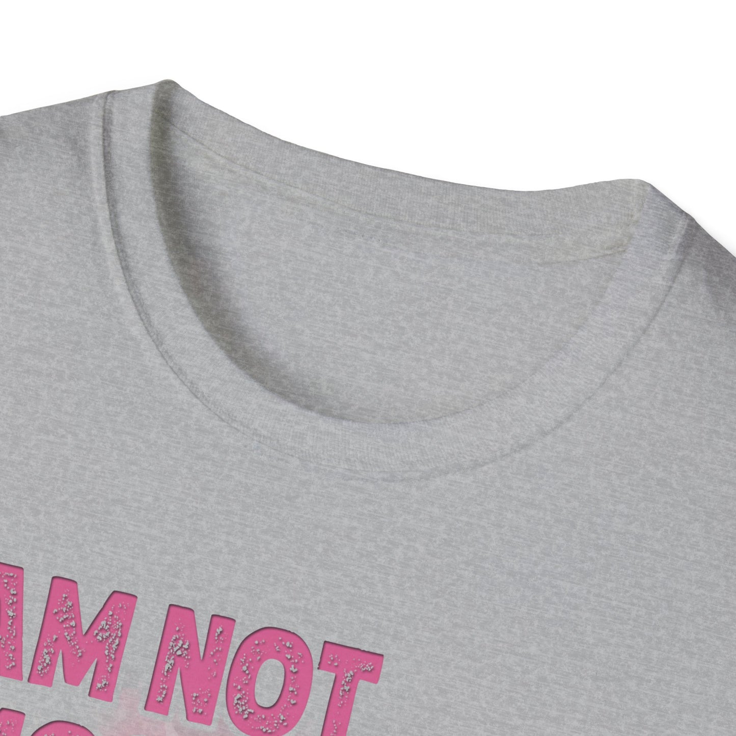 Veteran Pride Unisex T-Shirt, Memorial Day Shirt, Women's Veterans Day Tee, Patriotic Gift, Support Our Troops Apparel